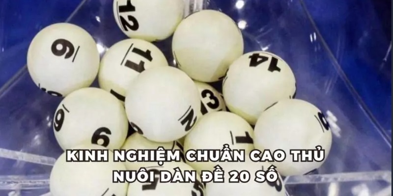 Bỏ túi kinh nghiệm hữu ích từ cao thủ giúp nuôi dàn đề 20 số trúng lớn 