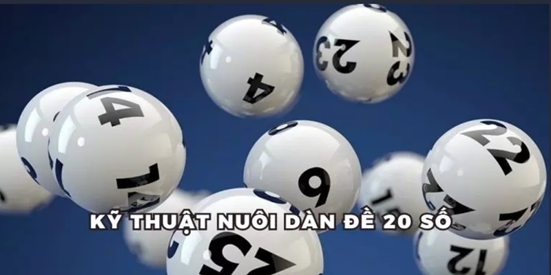 Kỹ thuật nuôi dàn 20 số đề chuẩn cao thủ bạn nên biết 